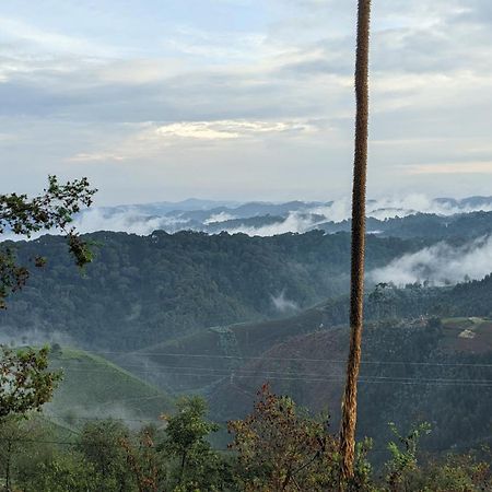 Nyungwe Village Kitabi ภายนอก รูปภาพ