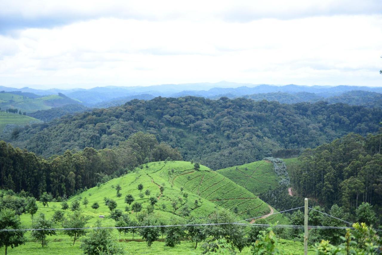 Nyungwe Village Kitabi ภายนอก รูปภาพ