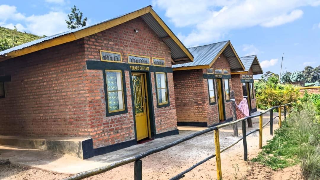 Nyungwe Village Kitabi ภายนอก รูปภาพ