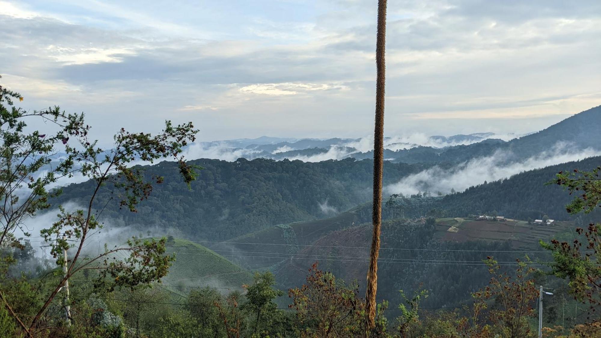Nyungwe Village Kitabi ภายนอก รูปภาพ