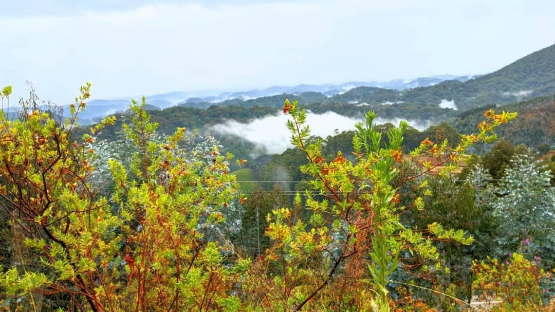 Nyungwe Village Kitabi ภายนอก รูปภาพ